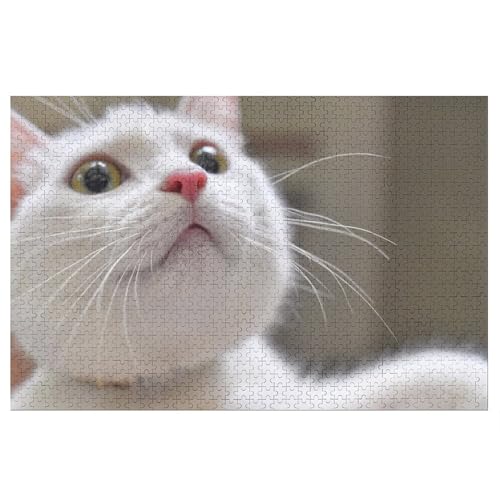 für Familie Freunde Dekorativ，1000 StüCk Die süße weiße Katze schaut mit Flauschigen Augen nach obenLernspielzeug FüR Kinder 75x50Holz von CARGUS