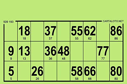 CARTALOTO-125 Loto-Kartons, Bristol, 224°g, Standardformat, Farbe: Grün, GTCB125-03, Mehrfarbig von CARTALOTO