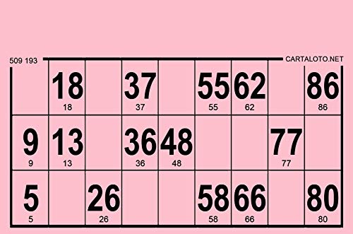 CARTALOTO-125 Loto-Kartons, Bristol, 224°g, Standardformat, Farbe: Rosa, GTCB125-04, Mehrfarbig von CARTALOTO