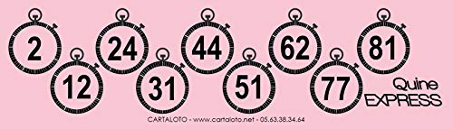 CARTALOTO-500 Bingo Quine Express -Rose, JNQEX1-04, Mehrfarbig von CARTALOTO