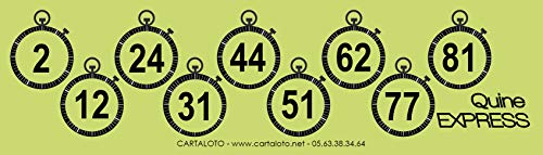 CARTALOTO JNQEX1-03 Bingo Quine Express, 500 Stück, Grün, Mehrfarbig von CARTALOTO