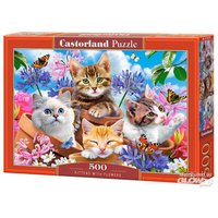 CASTORLAND B-53513 Kittens with Flowers Puzzle 500 Teile [44 von CASTORLAND