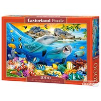 CASTORLAND C-104611-2 the Tropics Puzzle 1000 Teile [44 Dolphins von CASTORLAND