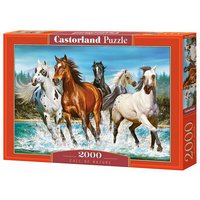 CASTORLAND C-200702-2 Call of Nature, Puzzle 2000 Teile CASTORLAND C-200702-2 Call of Nature, Puzzle 2000 Teile von CASTORLAND