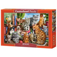 CASTORLAND C-200726-2 House of Cats, Puzzle 2000 Teile von CASTORLAND