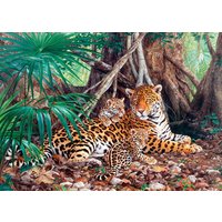 CASTORLAND C-300280-2 Jaguars in the jungle, Puzzle 3000 Teile CASTORLAND C-300280-2 Jaguars in the jungle, Puzzle 3000 Teile von CASTORLAND