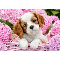 Castorland B-52233-2 Pup in Pink Flowers, Puzzle 500 Teile von CASTORLAND