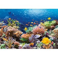 Castorland C-101511-2 Coral Reef Fishes,Puzzle 1000 Teile von CASTORLAND