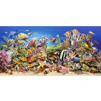 Castorland C-400089-2 Underwater life,Puzzle 4000 Teile von CASTORLAND