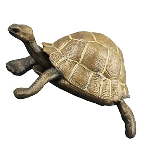 CAXUSD Spielzeug Schildkröte Kunststoff Schildkrötenfigur Dekorative Schildkröte Ornament Realistische Schildkröten Statue Pädagogisches Schildkröten Modell von CAXUSD
