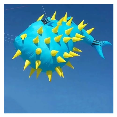 300 cm Kugelfisch-Drachen-Anhänger, Fliegende Outdoor-Drachen, Outdoor-Spielsport-Drachen A/B/C (Color : C) von CAYUND
