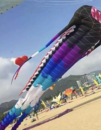 35 m großer uralter Trilobiten-Drachen, der Outdoor-Spielzeug fliegt, weicher Drachen (Color : B, Size : 35m) von CAYUND