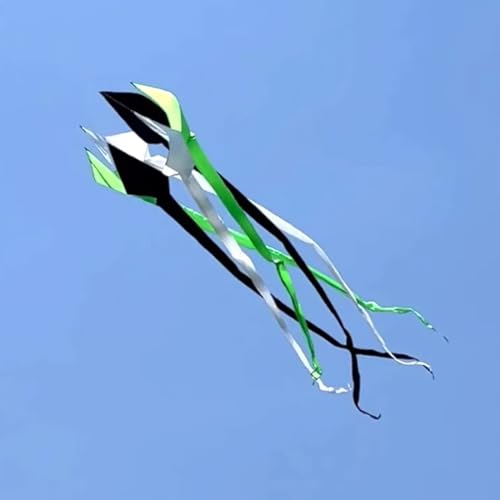 4 m Windsack Spinner Turbine Line Wäscheanhänger Weicher aufblasbarer Showdrachen 40D Ripstop Nylon (Color : Green, Size : Kite) von CAYUND