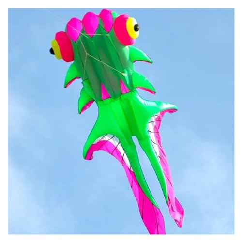 400 cm / 550 cm / 800 cm Drachenanhänger, weicher Drachenanhänger, Outdoor-Spaßdrachen, großer Drachen (Color : 550cm Red Green, Size : Kite) von CAYUND