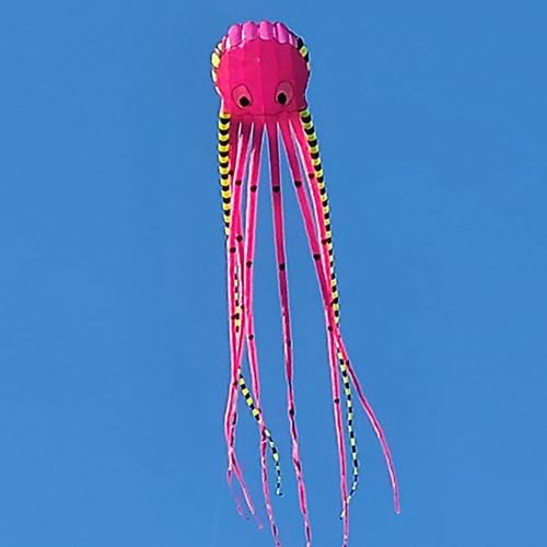 8m Octopus Kite Large Single Line Soft Inflatable Kite Kitesurf Kite Parachute Kite (Color : 800cm-11) von CAYUND