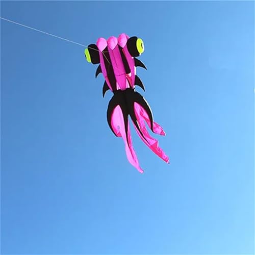 Fisch-Drachen-Fliegen, Goldfisch-Drachen-Sport, professionelle Drachen, großer Drachen-Fliegen-Fallschirm (Color : 10m PinkPurple) von CAYUND
