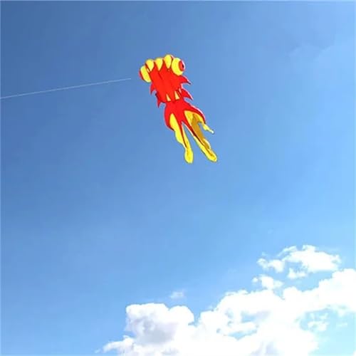 Fisch-Drachen-Fliegen, Goldfisch-Drachen-Sport, professionelle Drachen, großer Drachen-Fliegen-Fallschirm (Color : 6m RedYellow) von CAYUND