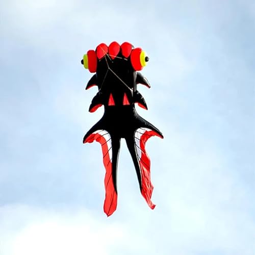 Fischdrachen fliegen Outdoor-Spaß aufblasbares Spielzeug Gleitschirmfliegen Windsurfen Drachen steigen Lassen (Color : 4m BlackRed) von CAYUND
