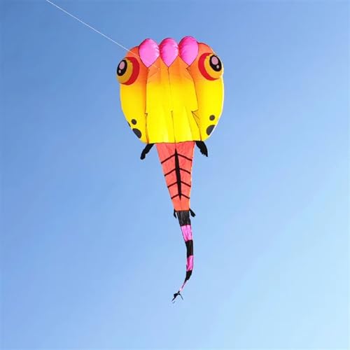 Riesendrachen Riesiger Drachen Kaulquappendrachen Fliegender aufblasbarer Drachen Nylondrachen (Color : 30sqm, Size : Kite) von CAYUND