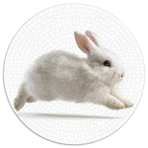Kaninchen Puzzle 1000 Teile Schwer Puzzle Spielzeug Lernspiel Impossible Hase Herausforderungsspielzeug Für Erwachsene Und Kinder Ab 12 Jahren 1000pcs (67.5x67.5cm) von CBCoin