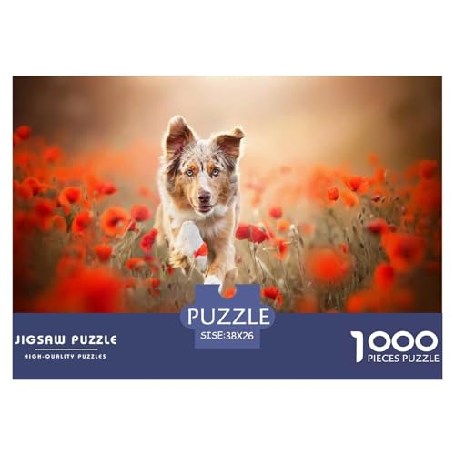 Schäferhund Puzzle 1000 Teile Schwer Puzzle Spielzeug Lernspiel Impossible Schäferhund Herausforderungsspielzeug Für Erwachsene Und Kinder Ab 12 Jahren 38x26cm/1000pcs Schäferhund Puzzle 1000 Teile Schwer Puzzle Spielzeug Lernspiel Impossible Schäferhund Herausforderungsspielzeug Für Erwachsene Und Kinder Ab 12 Jahren 38x26cm/1000pcs von CBCoin