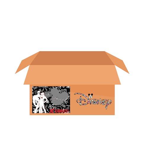 CC COLLECTORS Concept Überraschungsbox mit Sammler-Merchandise, Fanartikeln und Accessoires, Mystery Box von CC COLLECTORS Concept