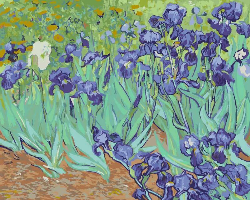 Malen nach Zahlen - Irises - Vincent van Gogh, mit Rahmen von CC0