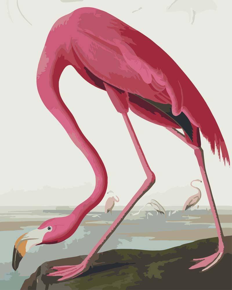 Malen nach Zahlen - Rosa Flamingo von Birds of America von John James Audubon, ohne Rahmen von CC0