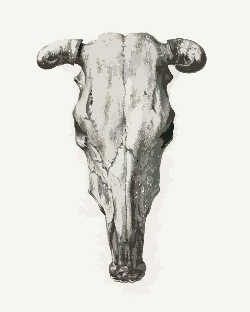 Malen nach Zahlen - Schädel einer Kuh von Jean Bernard, mit Rahmen von CC0