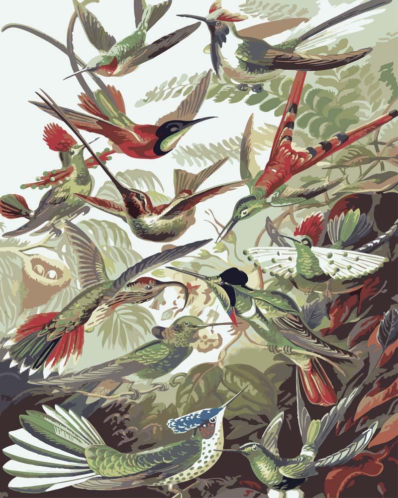 Malen nach Zahlen - Trochilidae–Kolibris von Ernst Haeckel, mit Rahmen von CC0