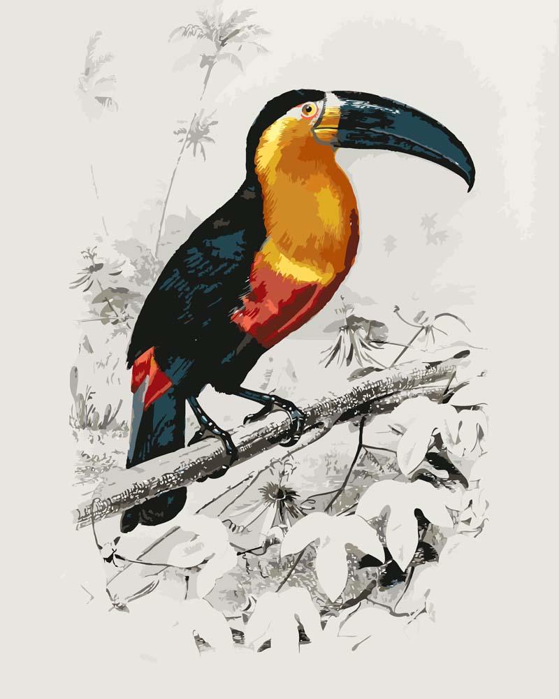 Malen nach Zahlen - Tukan (Ramphastos) illustriert von Charles Dessalines D_ Orbigny, mit Rahmen von CC0