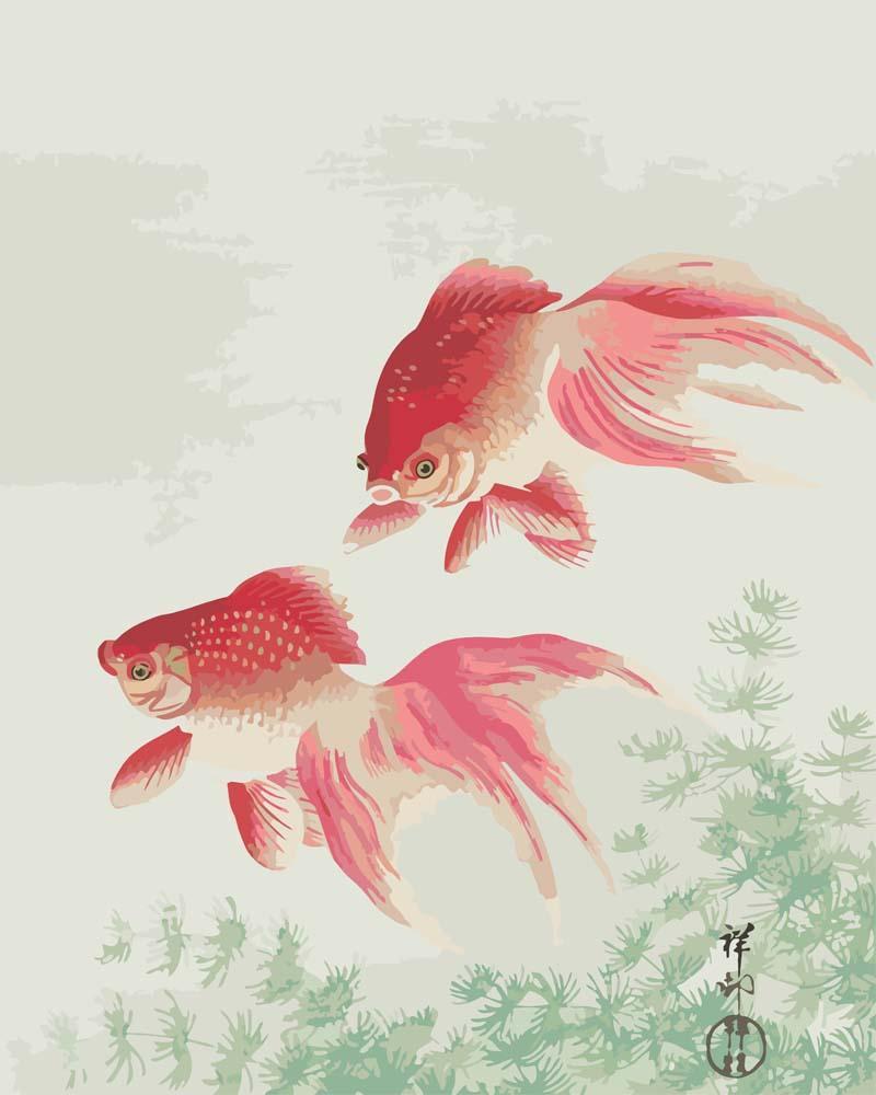 Malen nach Zahlen - Zwei Schleiergoldfische von Ohara Koson, mit Rahmen von CC0