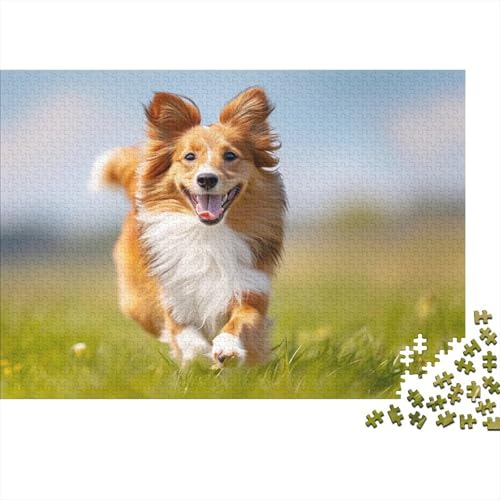 Australischer Schäferhund Puzzle 1000-teilige Schwer Puzzle Spielzeug Lernspiel Impossible Grünland Herausforderungsspielzeug Für Erwachsene Und Kinder Ab 14 Jahren 1000pcs (75x50cm) von CCIZFMQ