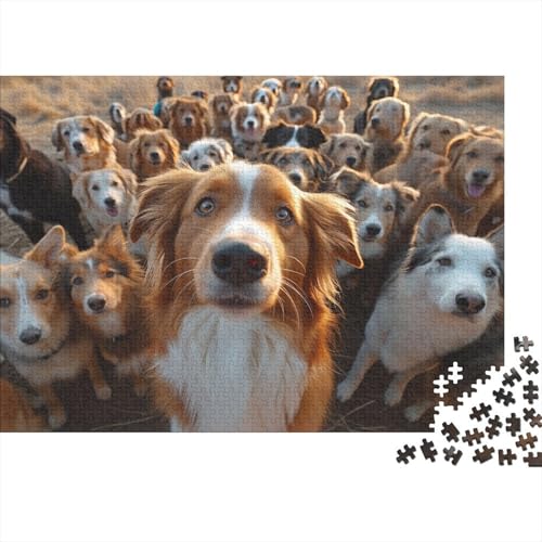 Australischer Schäferhund Puzzle 1000-teilige Schwer Puzzle Spielzeug Pädagogisches Spiel Impossible Group of Hunds Herausforderungsspielzeug Für Erwachsene Und Kinder Ab 12 Jahren 1000pcs (75x50cm) von CCIZFMQ