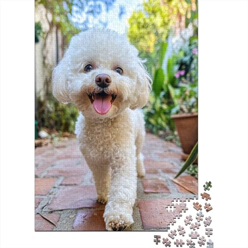 Bichon Frise Puzzle 1000 Teile Schwer Puzzle Spielzeug Lernspiel Impossible Hof im Freien Herausforderungsspielzeug Für Erwachsene Kinder 1000pcs (75x50cm) von CCIZFMQ
