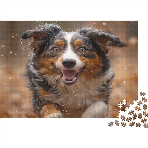 Der Border Collie Puzzles 1000-teilige Schwer Puzzle Spielzeug Lernspiel Impossible Dreifarbiger Hund Herausforderungsspielzeug Für Erwachsene Kinder 1000pcs (75x50cm) von CCIZFMQ