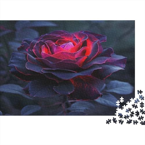 Farbige Rosen Puzzles 1000 Teile Schwer Puzzle Spielzeug Pädagogisches Spiel Impossible Dark Rote Rose Herausforderungsspielzeug Für Erwachsene Kinder 1000pcs (75x50cm) von CCIZFMQ