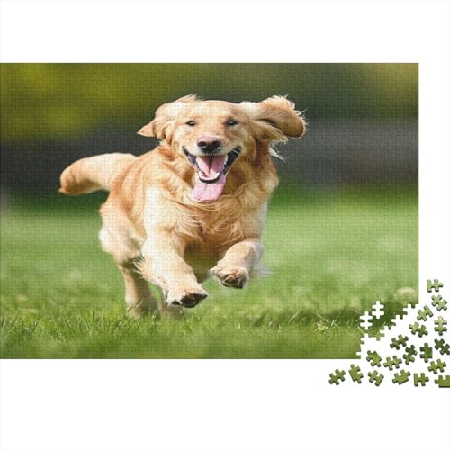 Golden Retriever Puzzles 1000 Teile Schwer Puzzle Spielzeug Lernspiel Impossible Grasland Herausforderung Spielzeug Für Erwachsene Und Kinder Ab 12 Jahren 1000pcs (75x50cm) von CCIZFMQ