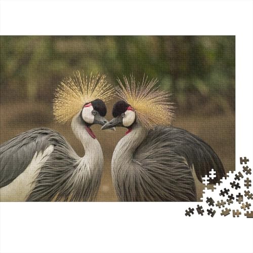 Grau gekrönter Kran Puzzles 1000 Teile Schwer Puzzle Spielzeug Lernspiel Impossible Herausforderungsspielzeug Für Erwachsene Und Kinder Ab 14 Jahren 1000pcs (75x50cm) von CCIZFMQ