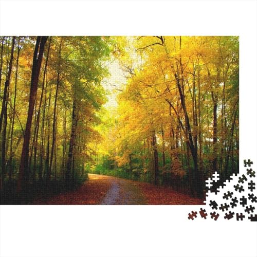 Herbst Wald Puzzles 1000 Teile Schwer Puzzle Spielzeug Lernspiel Impossible Fallen Blatt Pfad Herausforderungsspielzeug Für Erwachsene Kinder 1000pcs (75x50cm) von CCIZFMQ