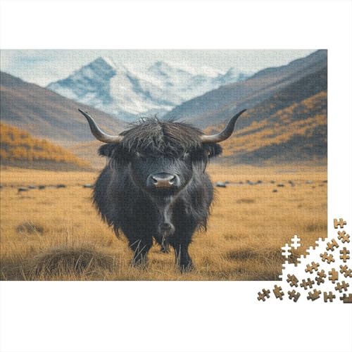 Hochlandrind Puzzle 1000-teilige Schwer Puzzle Spielzeug Pädagogisches Spiel Impossible Plateau-Yak Herausforderung Spielzeug Für Erwachsene Und Kinder Ab 12 Jahren 1000pcs (75x50cm) von CCIZFMQ