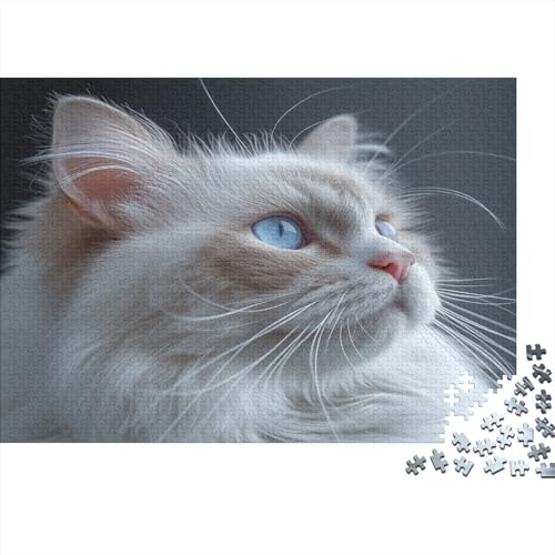 Ragdoll-Katze Puzzle 1000-teilige Schwer Puzzle Spielzeug Lernspiel Impossible Farbenfrohes Kunstwerk Herausforderung Spielzeug Für Erwachsene Kinder 1000pcs (75x50cm) von CCIZFMQ