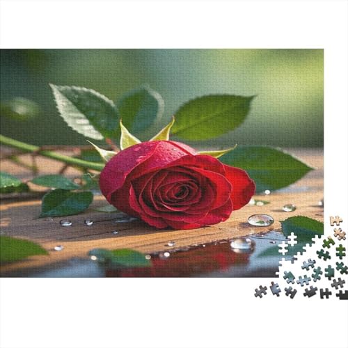 Rote Rose Puzzles 1000 Teile Schwer Puzzle Spielzeug Lernspiel Impossible Holz Brett Herausforderungsspielzeug Für Erwachsene Und Kinder Ab 12 Jahren 1000pcs (75x50cm) von CCIZFMQ