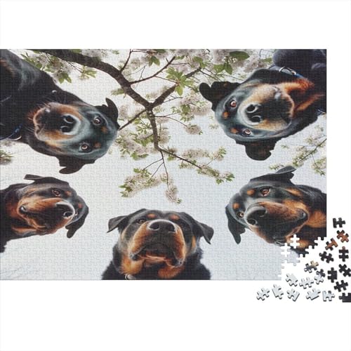 Rottweiler Puzzles 1000 Teile Schwer Puzzle Spielzeug Pädagogisches Spiel Impossible Netter Hund Herausforderung Spielzeug Für Erwachsene Und Kinder Ab 14 Jahren 1000pcs (75x50cm) von CCIZFMQ
