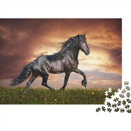 Schwarze Schönheit Puzzles 1000 Teile Puzzle Spielzeug Pädagogisches Spiel Impossible Grassland Sonnenuntergang Herausforderungsspielzeug Für Erwachsene Und Kinder Ab 14 Jahren 1000pcs (75x50cm) von CCIZFMQ