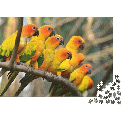 Sonne Conure Puzzles 1000-teilige Schwer Puzzle Spielzeug Lernspiel Impossible Branch Herausforderungsspielzeug Für Erwachsene Kinder 1000pcs (75x50cm) von CCIZFMQ