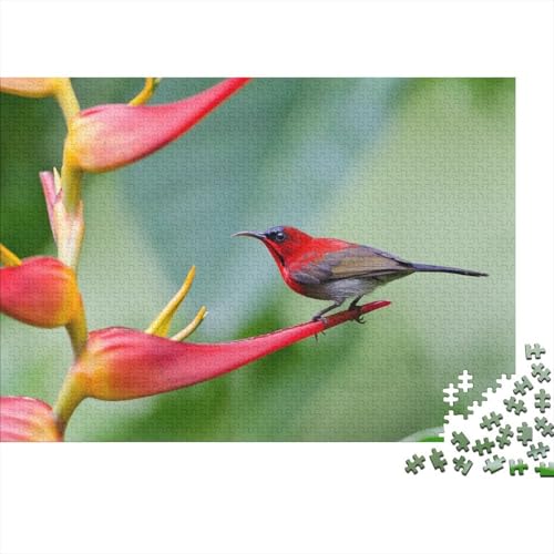 Sonnenvogel Puzzles 1000 Teile Schwer Puzzle Spielzeug Pädagogisches Spiel Impossible Helikonien Herausforderungsspielzeug Für Erwachsene Und Kinder Ab 12 Jahren 1000pcs (75x50cm) von CCIZFMQ