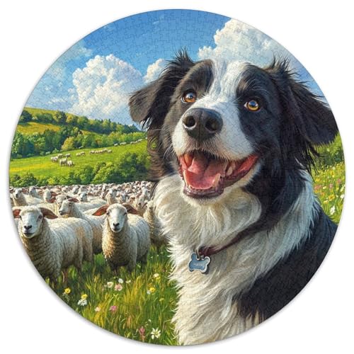 Der Border Collie 1000 Stück Puzzle Rund Puzzles Erwachsene Und Kinder Geschicklichkeitsspiel Geschenk Spielabende Lernen Fordernde Kleinkinder Heraus Große 1000pcs (67.5x67.5cm) von CDFABYTEM