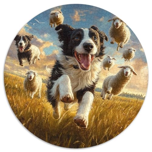 Der Border Collie 1000 Stück Puzzle Rund Puzzles Erwachsene Und Kinder Handwerk Großes Gemütliche Schwieriges Croissant Circular Herausforderndes Spielzeug 1000pcs (67.5x67.5cm) von CDFABYTEM