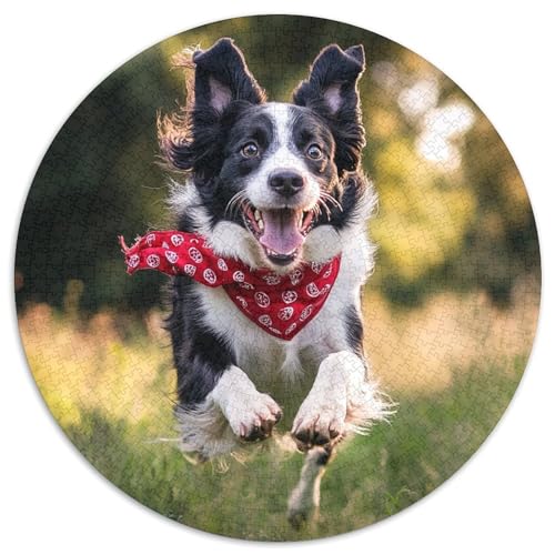 Der Border Collie 1000 Stück Puzzle Rund Puzzles Erwachsene Und Kinder Lernspiel Rätsel Teiliges Clevere Voller Größe Geschenk Poster Spiel 1000pcs (67.5x67.5cm) von CDFABYTEM